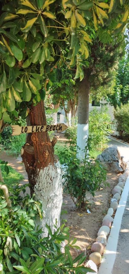 Athina Studio Apartments Kerveli Bagian luar foto